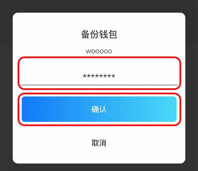步骤12: 输入钱包密码